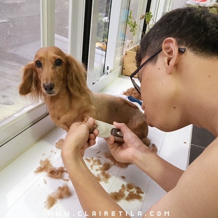 20251024-eapex 20251024-eapex