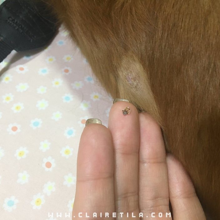 20251024-eer29 20251024-eer29