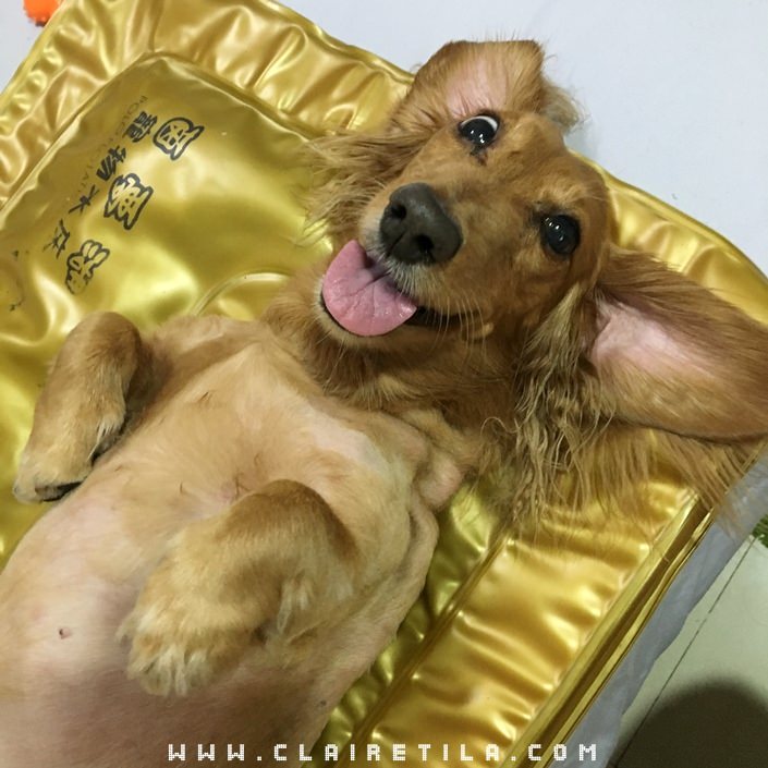 20251024-ehi9u 20251024-ehi9u