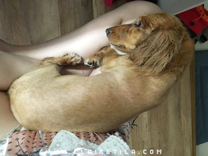 20251024-ejwou 20251024-ejwou