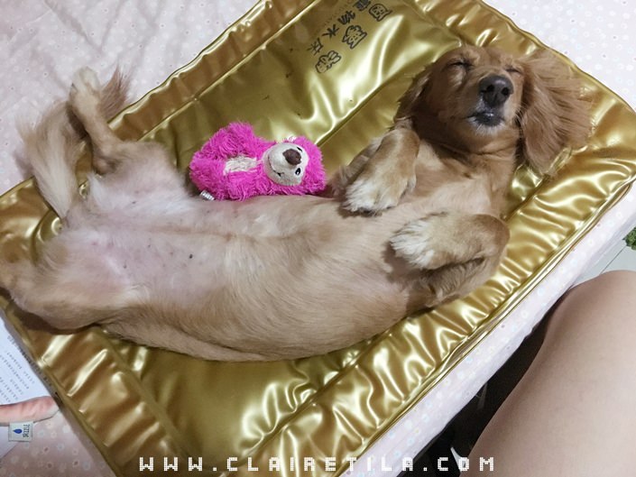 20251024-es44c 20251024-es44c