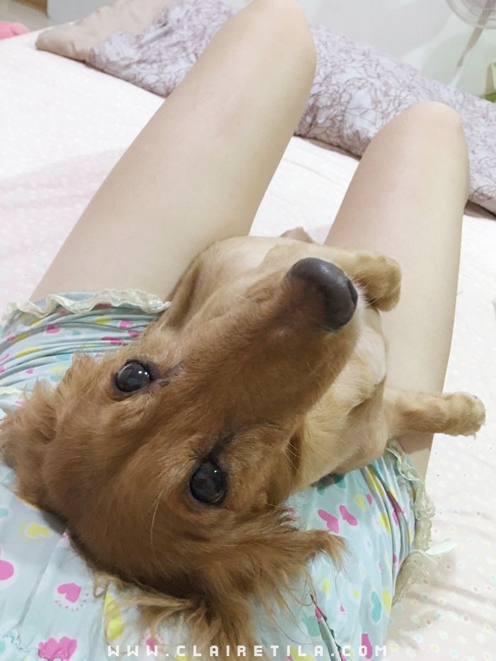 20251024-f46ca 20251024-f46ca