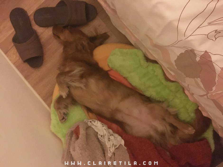 20251024-f5i7x 20251024-f5i7x