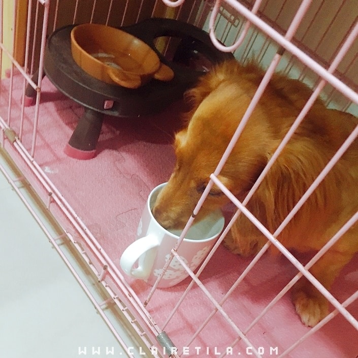 20251024-f6c4l 20251024-f6c4l