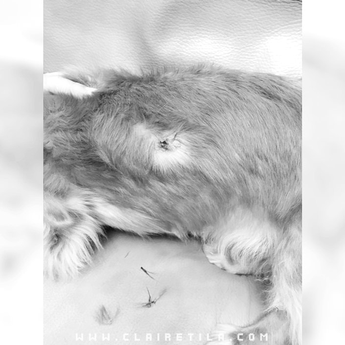 20251024-ffv1u 20251024-ffv1u