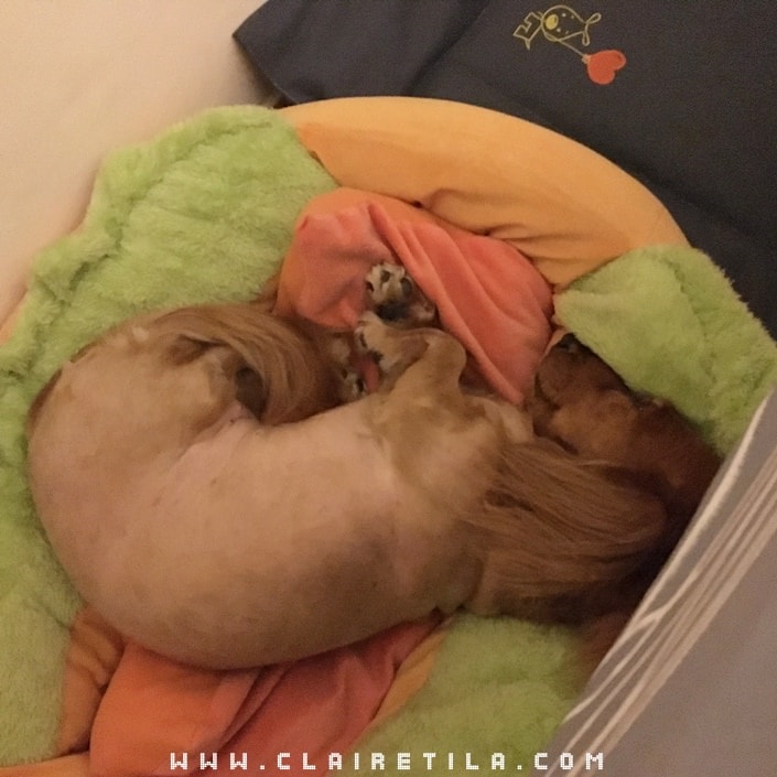 20251024-fhozg 20251024-fhozg