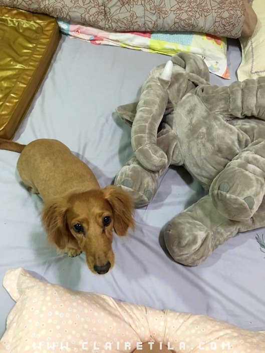 20251024-fr400 20251024-fr400