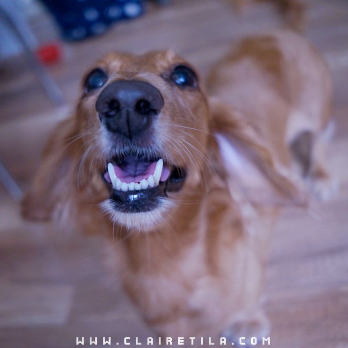 20251024-fyvle 20251024-fyvle