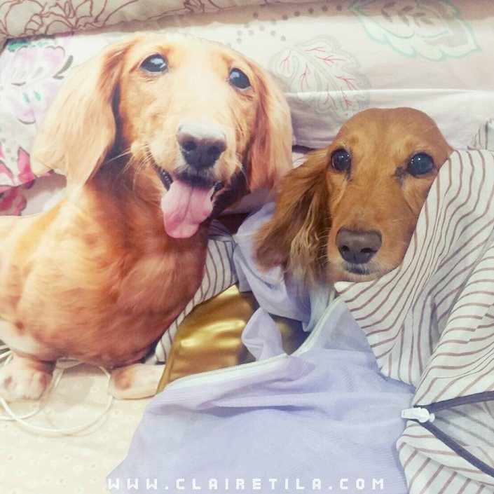 20251024-fzmsi 20251024-fzmsi