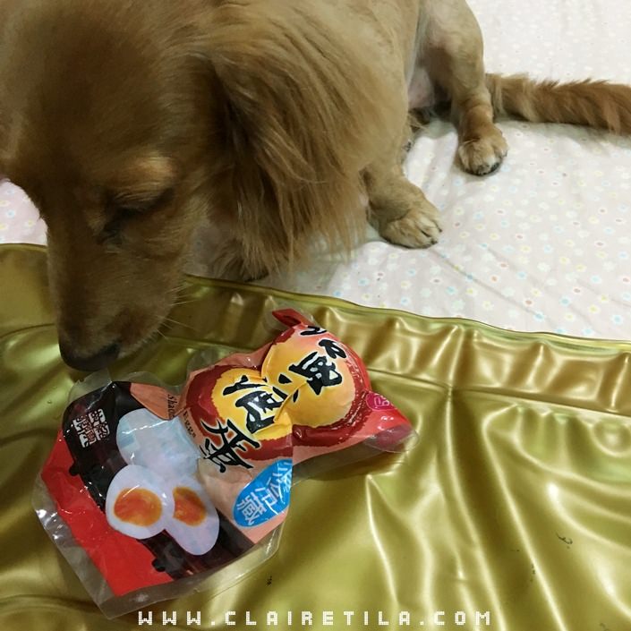 20251024-gvo6e 20251024-gvo6e