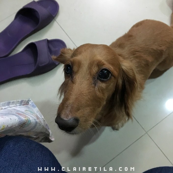 20251024-gwr8g 20251024-gwr8g