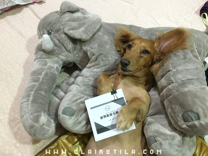 20251024-h08g7 20251024-h08g7