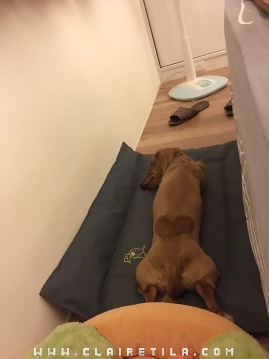 20251024-h25lh 20251024-h25lh