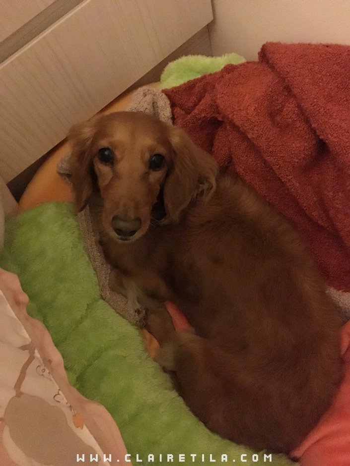 20251024-h2o28 20251024-h2o28