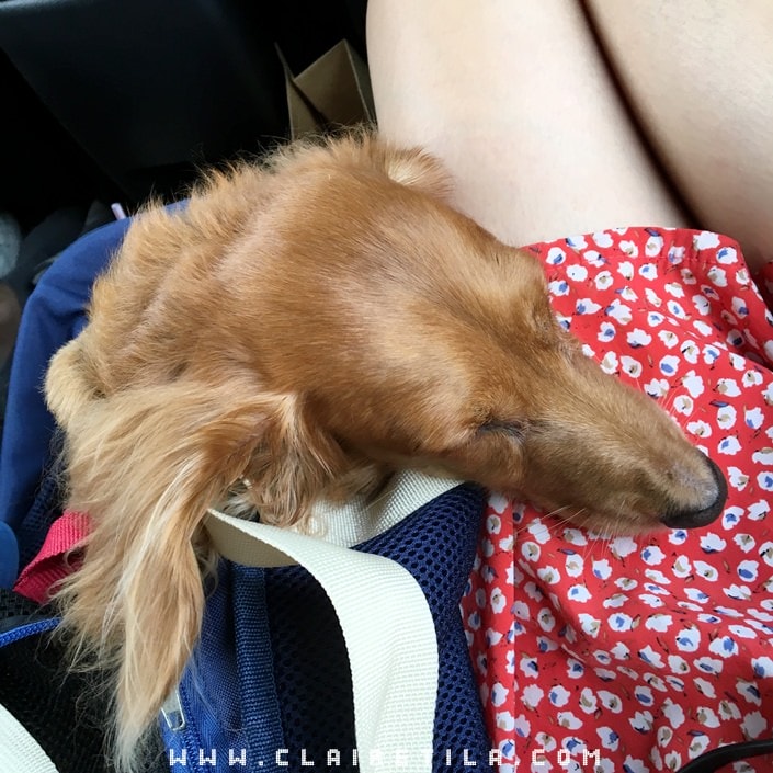 20251024-hc1u8 20251024-hc1u8