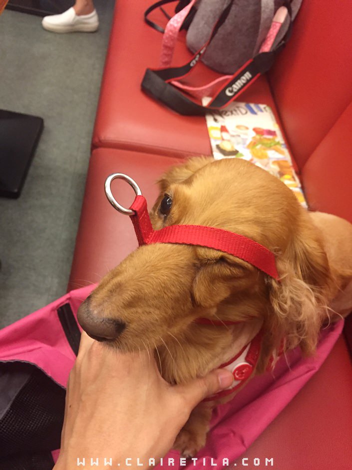 20251024-hkvgi 20251024-hkvgi