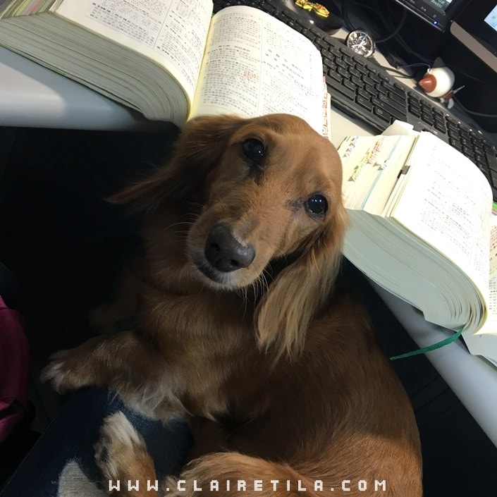 20251024-hnnio 20251024-hnnio