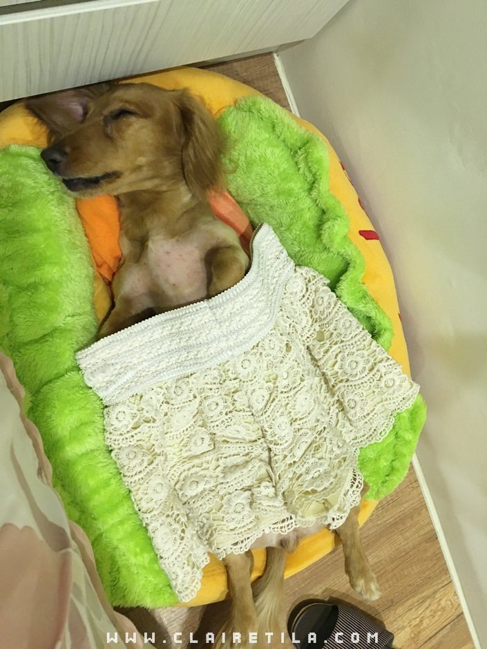 20251024-hoh4z 20251024-hoh4z