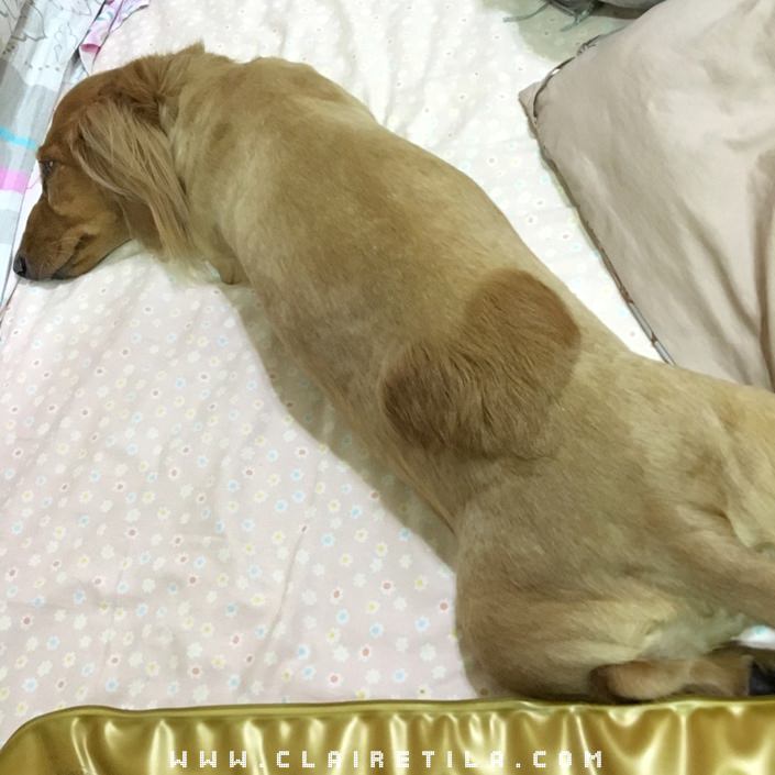 20251024-htx9t 20251024-htx9t