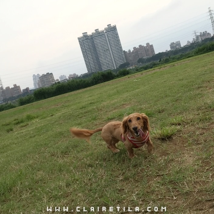 20251024-i0eyl 20251024-i0eyl