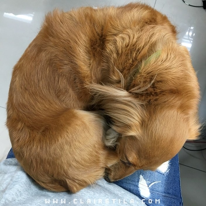 20251024-ivqh9 20251024-ivqh9