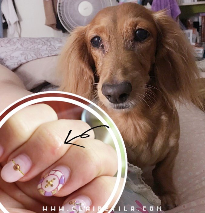 20251024-ivy3l 20251024-ivy3l