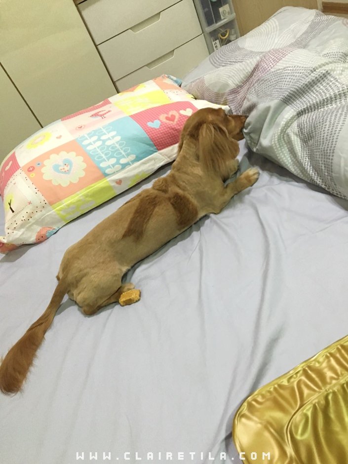 20251024-iw7nq 20251024-iw7nq