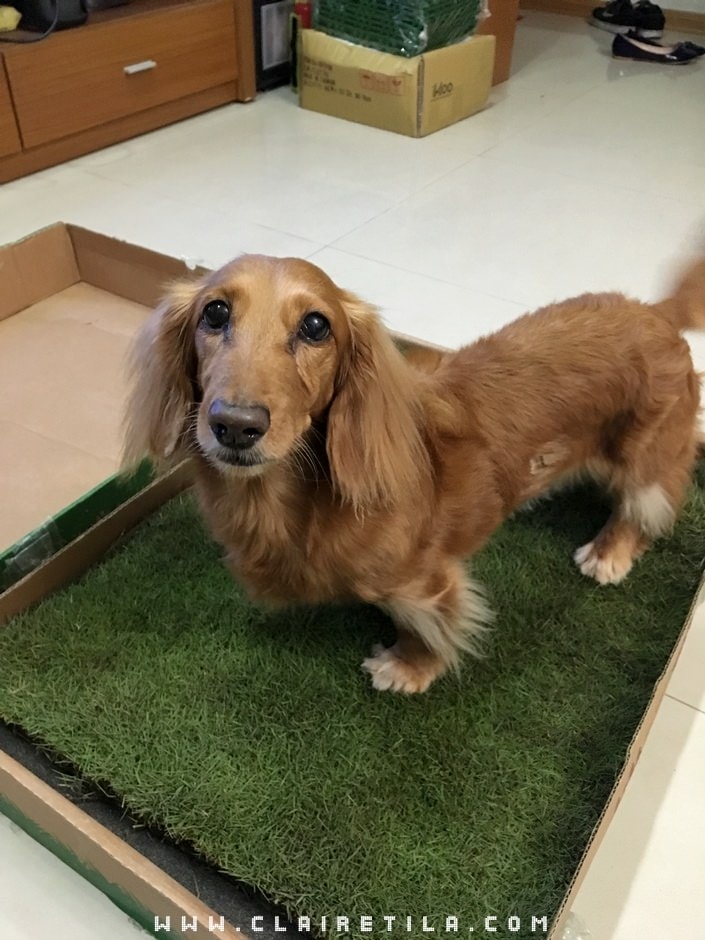 20251024-j37eu 20251024-j37eu