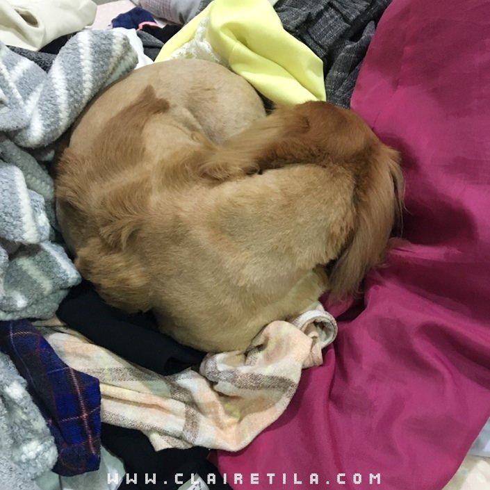 20251024-j8lcv 20251024-j8lcv