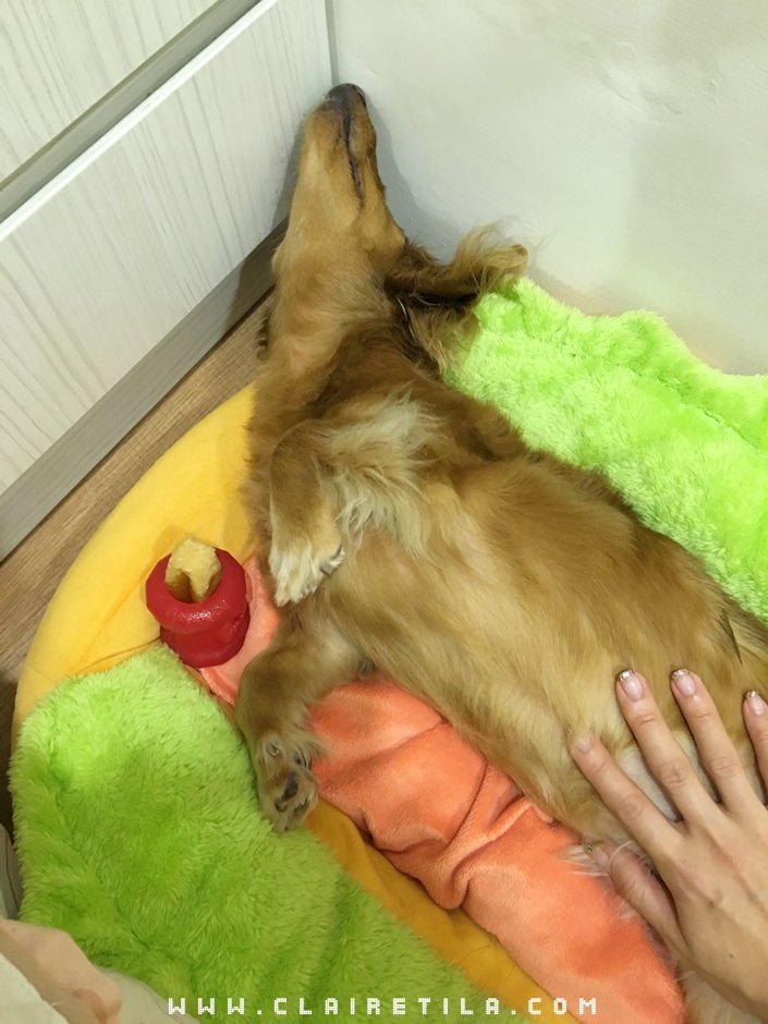 20251024-jd5fc 20251024-jd5fc