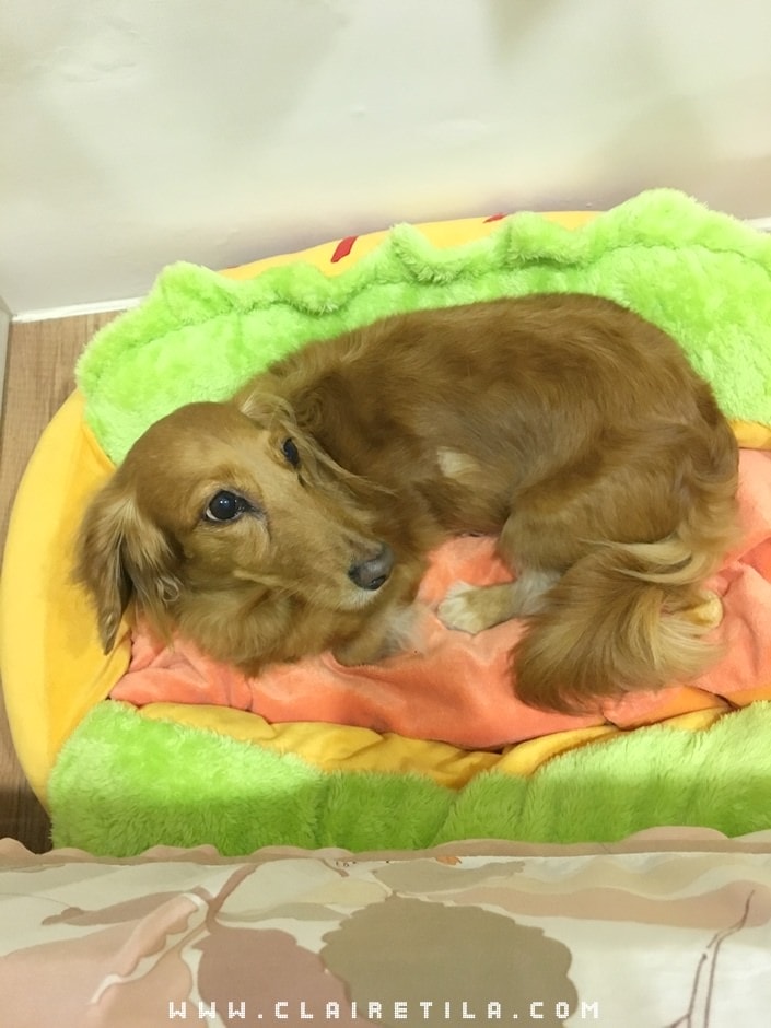 20251024-jf53y 20251024-jf53y