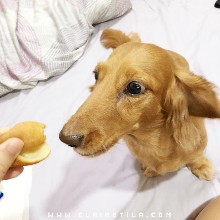 20251024-jn8tw 20251024-jn8tw