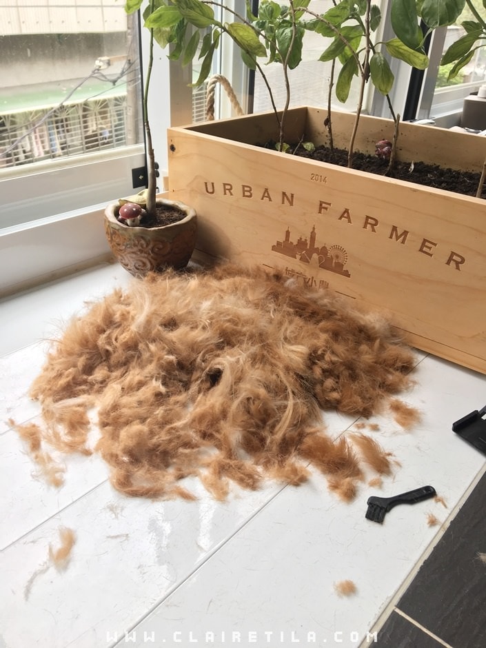 20251024-jvpna 20251024-jvpna