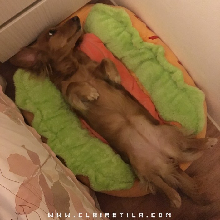 20251024-jxe5c 20251024-jxe5c