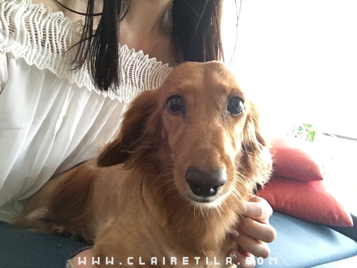 20251024-k0vxg 20251024-k0vxg