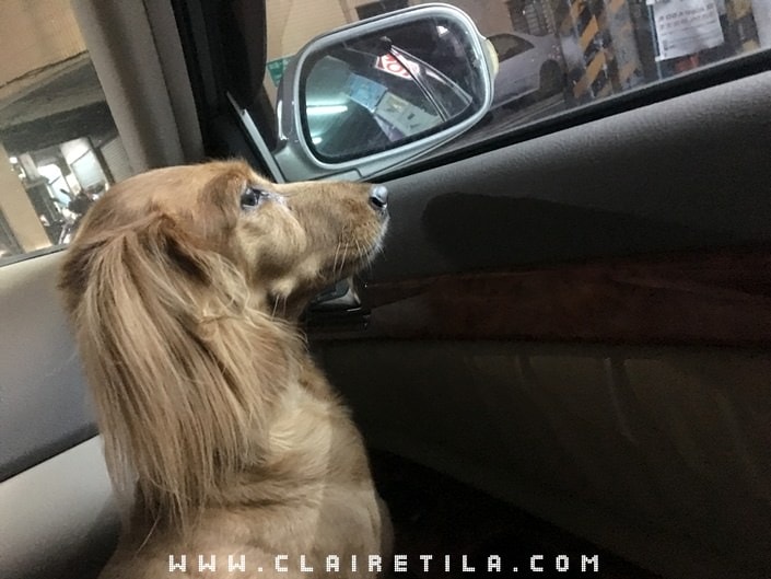 20251024-kr46r 20251024-kr46r