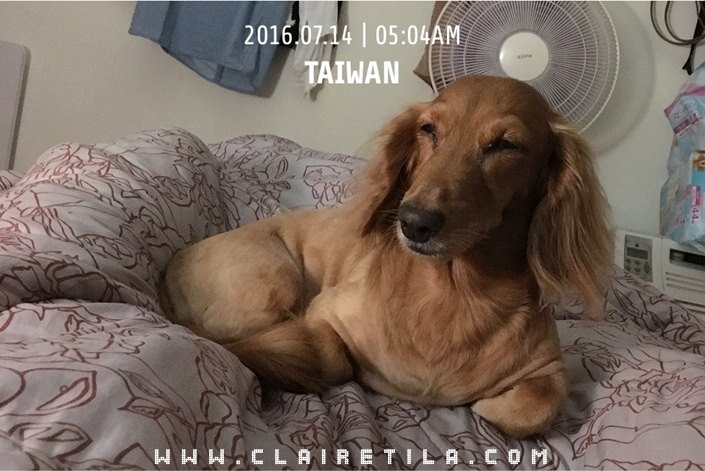 20251024-kvvjo 20251024-kvvjo