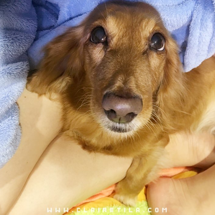 20251024-l18jo 20251024-l18jo