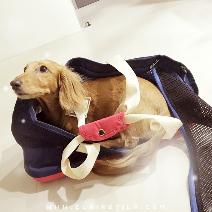 20251024-lorfw 20251024-lorfw