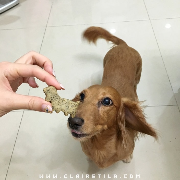 20251024-lq2d1 20251024-lq2d1