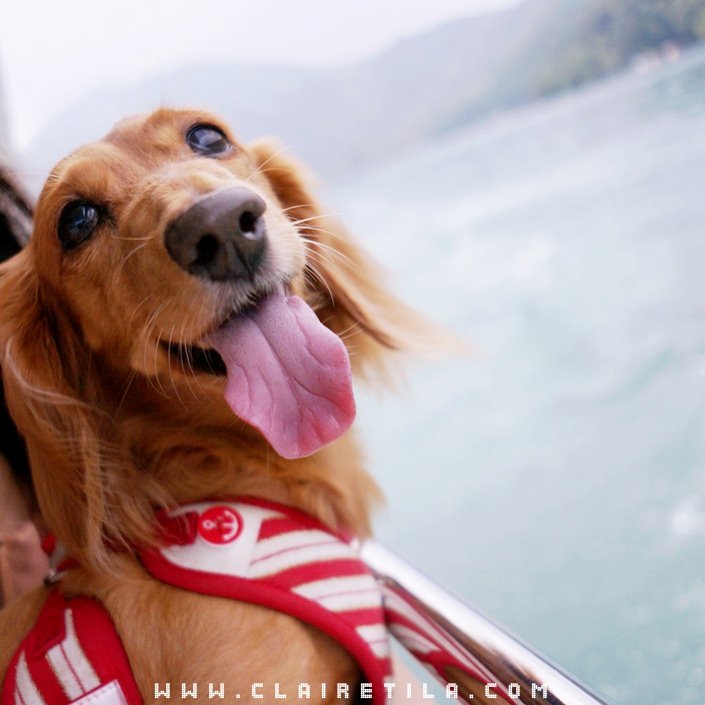 20251024-m2dxn 20251024-m2dxn