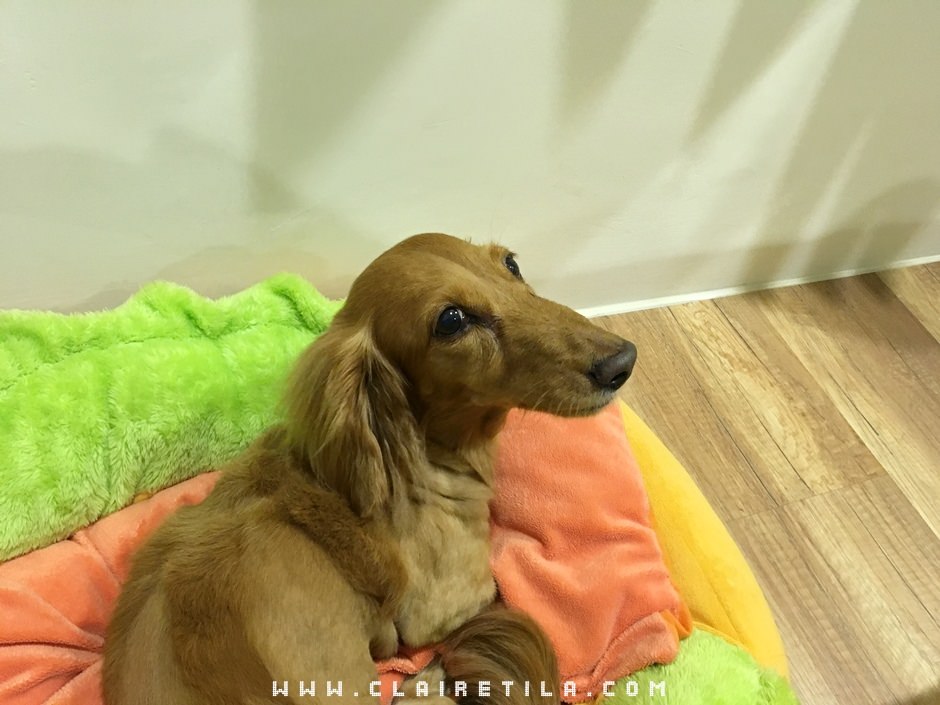 20251024-mjaoy 20251024-mjaoy