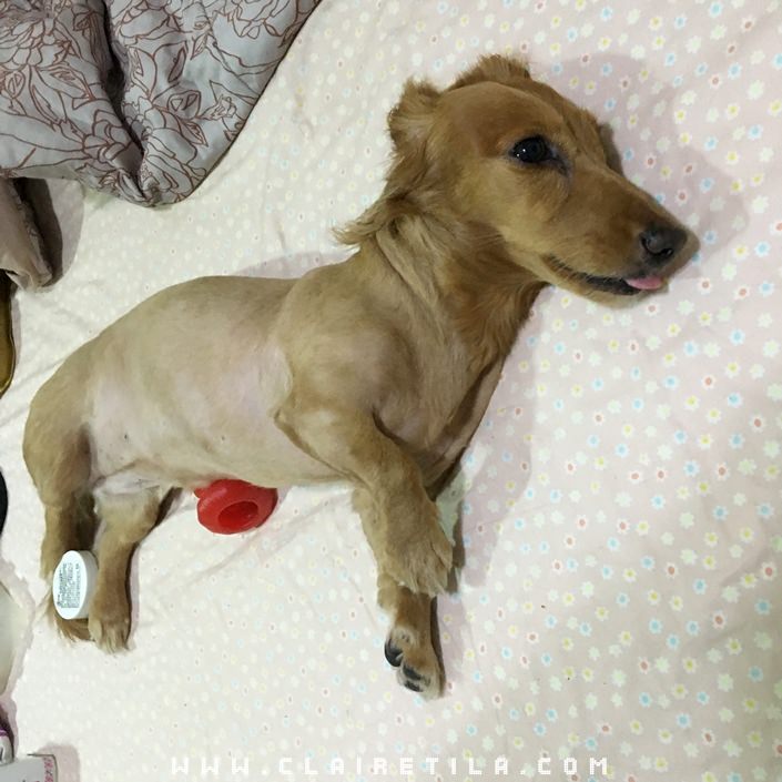 20251024-mjcpq 20251024-mjcpq