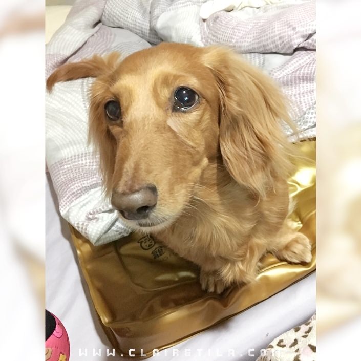 20251024-mva06 20251024-mva06