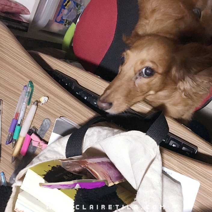 20251024-myyqt 20251024-myyqt