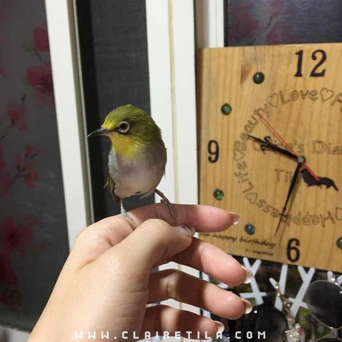 20251024-n95ff 20251024-n95ff