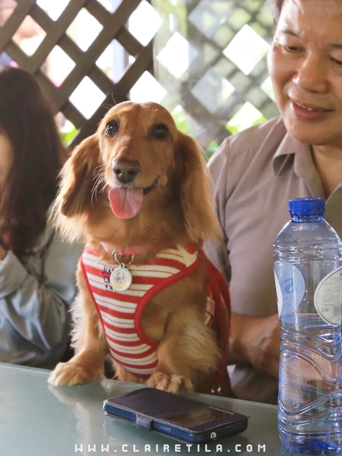 20251024-n9ct8 20251024-n9ct8