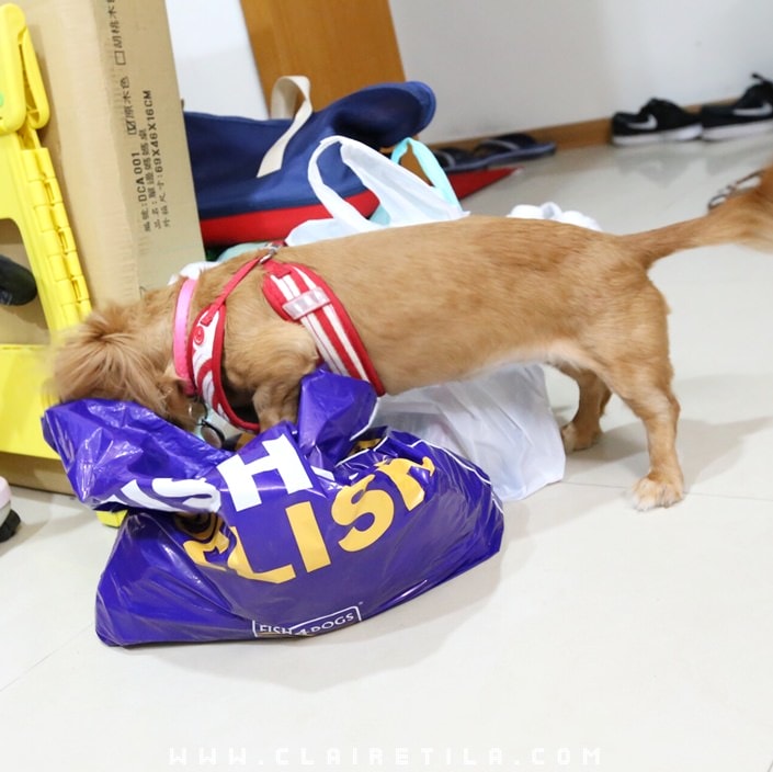 20251024-nbf0p 20251024-nbf0p