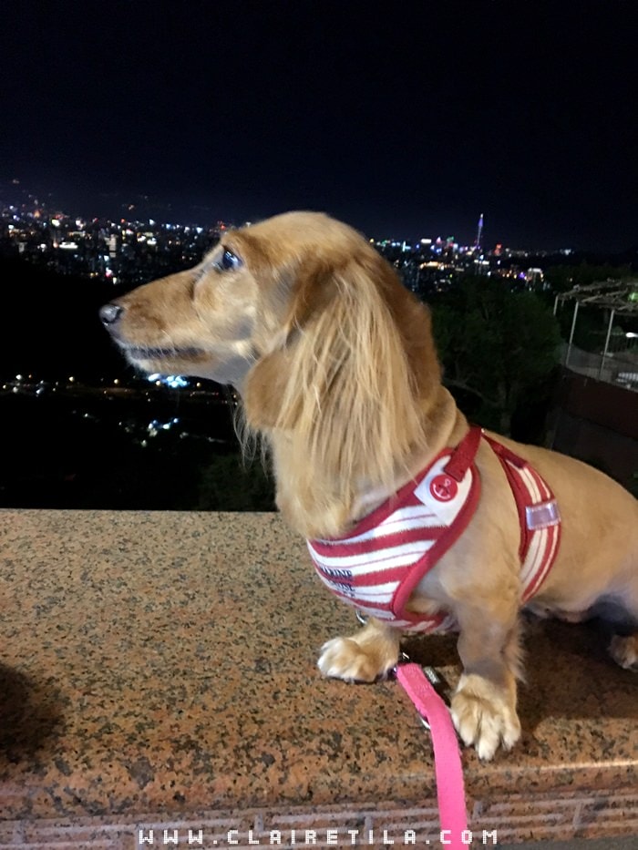 20251024-neigw 20251024-neigw