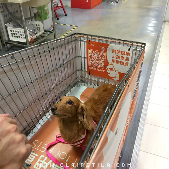 20251024-niwha 20251024-niwha